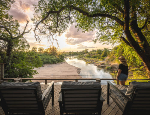 Cape Town and Nyala Lodge Safari