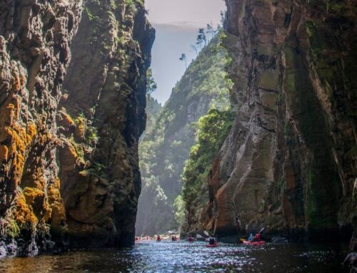 Garden Route Tour