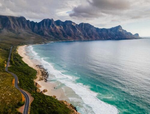 Cape Town Day Tour